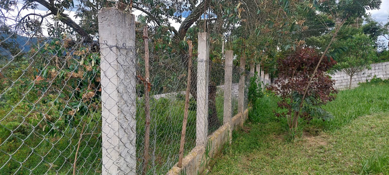 Chácara à venda Centro com 2800m² e 1 quarto por R$ 399.000 - 1898254372-whatsapp-image-2023-01-16-at-17.jpeg