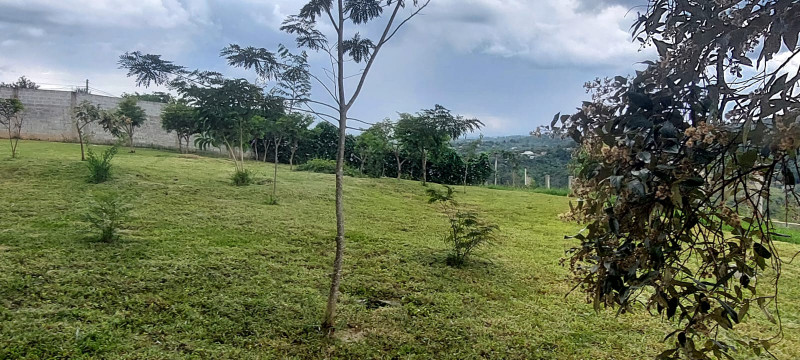 Chácara à venda Centro com 2800m² e 1 quarto por R$ 399.000 - 1961505697-whatsapp-image-2023-01-16-at-17.jpeg