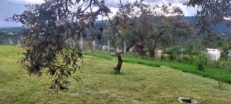 Chácara à venda Centro com 2800m² e 1 quarto por R$ 399.000 - 2002528532-whatsapp-image-2023-01-16-at-17.jpeg