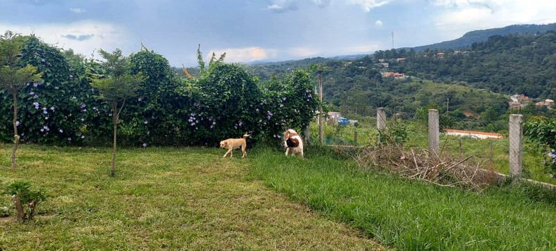 Chácara à venda Centro com 2800m² e 1 quarto por R$ 399.000 - 2034650601-whatsapp-image-2023-01-16-at-17.jpeg