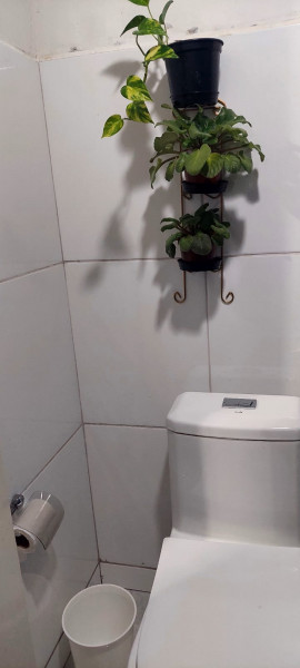 Chácara à venda Centro com 2800m² e 1 quarto por R$ 399.000 - 321167063-whatsapp-image-2023-01-16-at-17.jpeg