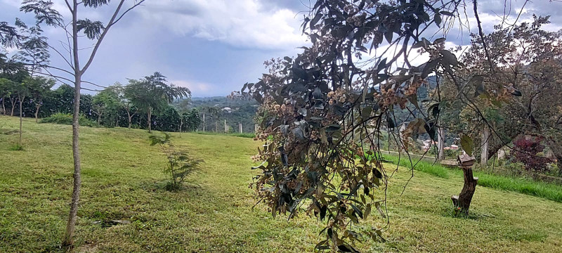 Chácara à venda Centro com 2800m² e 1 quarto por R$ 399.000 - 571810914-whatsapp-image-2023-01-16-at-17.jpeg