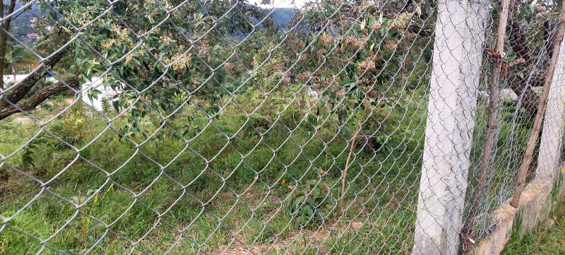 Chácara à venda Centro com 2800m² e 1 quarto por R$ 399.000 - 580187851-whatsapp-image-2023-01-16-at-17.jpeg