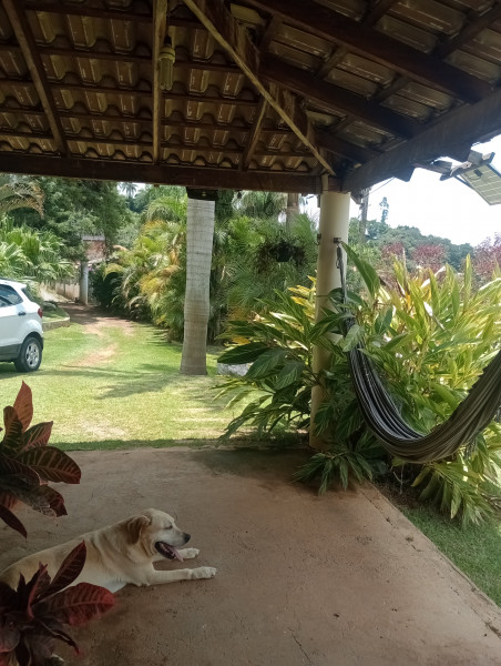 Chácara à venda Centro com 2000m² e 3 quartos por R$ 550.000 - 700103789-img-20230118-123719008-mfnr.jpg