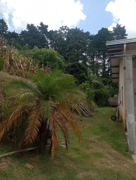 Chácara à venda Centro com 2000m² e 3 quartos por R$ 550.000 - 7202980-img-20230118-124147375-mfnr.jpg