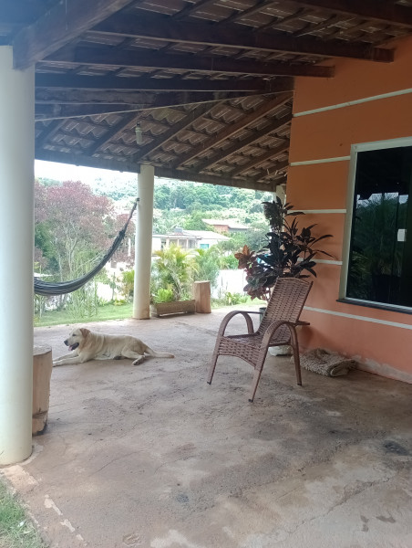 Chácara à venda Centro com 2000m² e 3 quartos por R$ 550.000 - 868528195-img-20230118-124721296-mfnr.jpg
