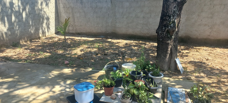 Terreno à venda Parque São Vicente de Paulo com 41m² e 1 quarto por R$ 140.000 - 756487175-20230117-094523.jpg