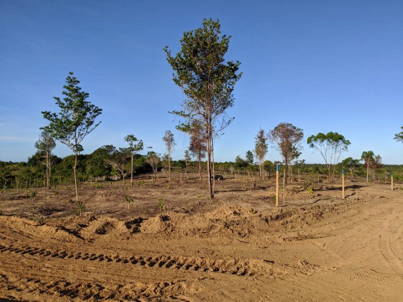 Terreno à venda Centro com 300m² e 1 quarto por R$ 55.000 - 972167818-3.jpg