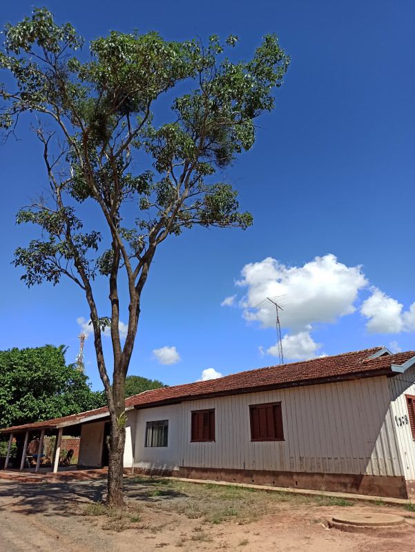 Terreno à venda Centro com 1200m² e 1 quarto por R$ 500.000 - 1536736056-img-20221229-145314.jpg