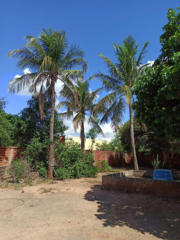 Terreno à venda Centro com 1200m² e 1 quarto por R$ 500.000 - 1581645891-img-20221229-145940.jpg
