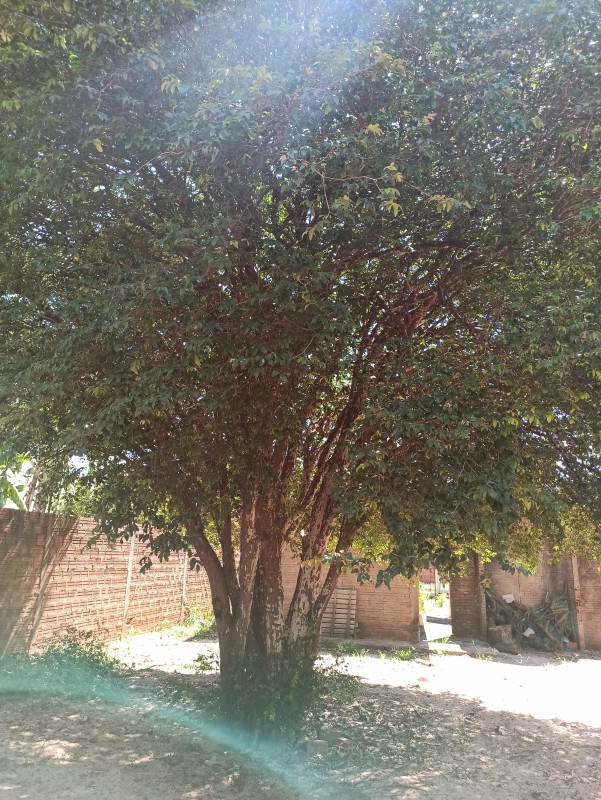 Terreno à venda Centro com 1200m² e 1 quarto por R$ 500.000 - 2037833435-img-20221229-144657.jpg