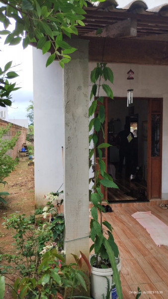 Casa à venda Pegorelli  com 80m² e 2 quartos por R$ 280.000 - 1641208587-img-20230128-wa0025.jpg