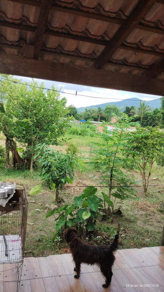 Casa à venda Pegorelli  com 80m² e 2 quartos por R$ 280.000 - 1964447476-img-20230128-wa0006.jpg