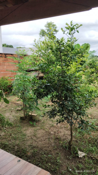 Casa à venda Pegorelli  com 80m² e 2 quartos por R$ 280.000 - 484201090-img-20230128-wa0012.jpg