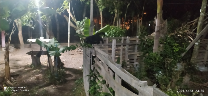 Terreno à venda Hípica com 600m² e 1 quarto por R$ 570.000 - 75598752-img-20210428-232906.jpg