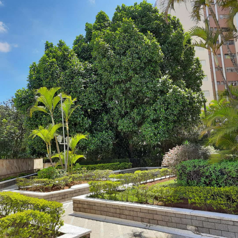 Apartamento à venda Parque Tomas Saraiva com 58m² e 2 quartos por R$ 299.000 - 152256085-whatsapp-image-2023-01-29-at-19.jpeg