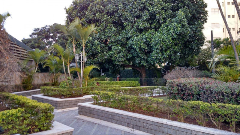 Apartamento à venda Parque Tomas Saraiva com 58m² e 2 quartos por R$ 299.000 - 2001689462-18.jpg