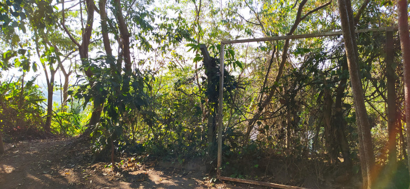 Terreno à venda Terras do Madeira com 473m² e 1 quarto por R$ 310.000 - 1881296115-frente1.jpg