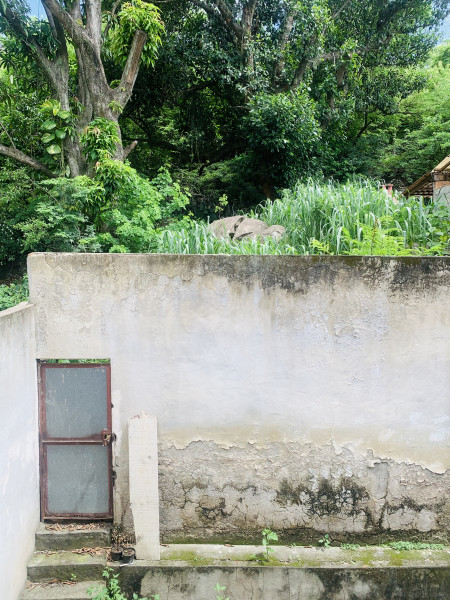 Casa de condomínio à venda Bangu com 350m² e 3 quartos por R$ 450.000 - 2123187226-5516664c-6426-4ba5-8e56-70f81096ed94.jpeg