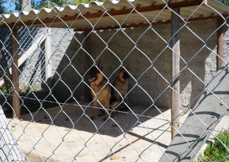 Chácara à venda Cocais com 1895m² e 2 quartos por R$ 345.000 - 1606313938-2670836449.jpg