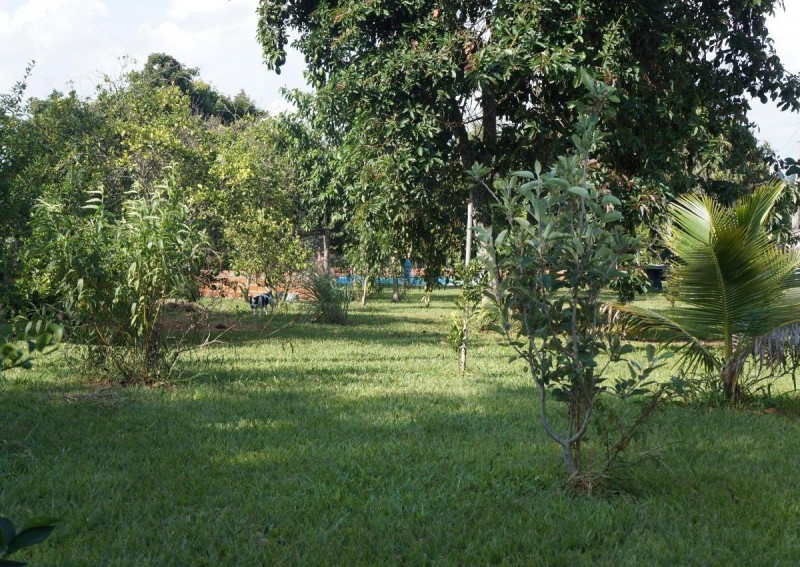 Chácara à venda Cocais com 1895m² e 2 quartos por R$ 345.000 - 1884984003-2670836458.jpg