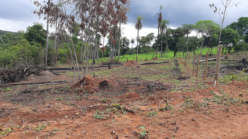 Chácara à venda Centro com 2000m² e 1 quarto por R$ 70.000 - 301773074-20201212-105129.jpg