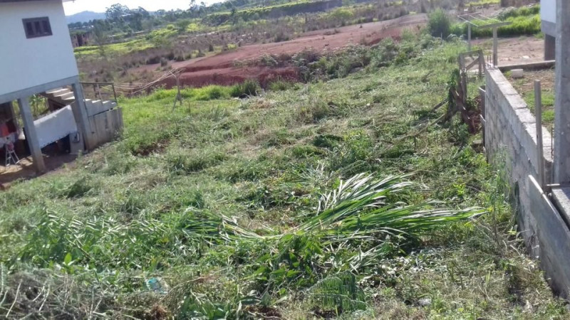 Terreno à venda Vl. Rica com 369m² e 1 quarto por R$ 120.000 - 1831029297-168315814-3967962756596138-2808849878782685850-n.jpg