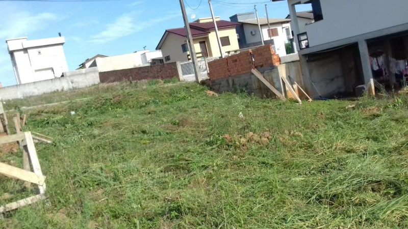 Terreno à venda Vl. Rica com 369m² e 1 quarto por R$ 120.000 - 508732735-168322804-3967962726596141-3863742281029553653-n.jpg