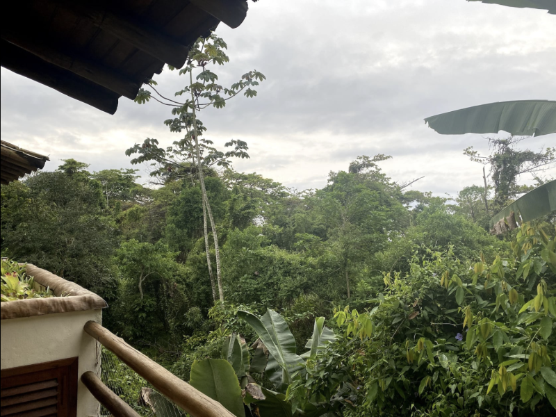 Casa de condomínio à venda Praia do Itamambuca com 280m² e 4 quartos por R$ 3.150.000 - imagem-png-20.png