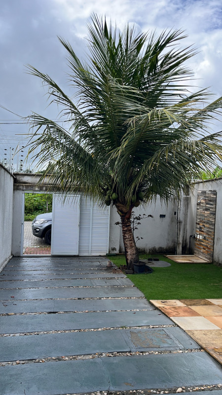 Casa à venda Mangabeira com 100m² e 3 quartos por R$ 420.000 - 1335622833-d9912419-d055-40b2-8c41-56d42424be8f.jpeg