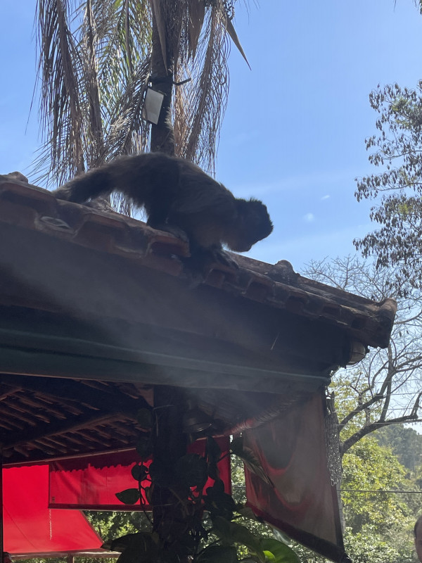 Apartamento à venda Jardim Tupanci com 68m² e 2 quartos por R$ 570.000 - 1391502846-462783da-e0e6-4de2-98e4-17cb247ad343.jpeg