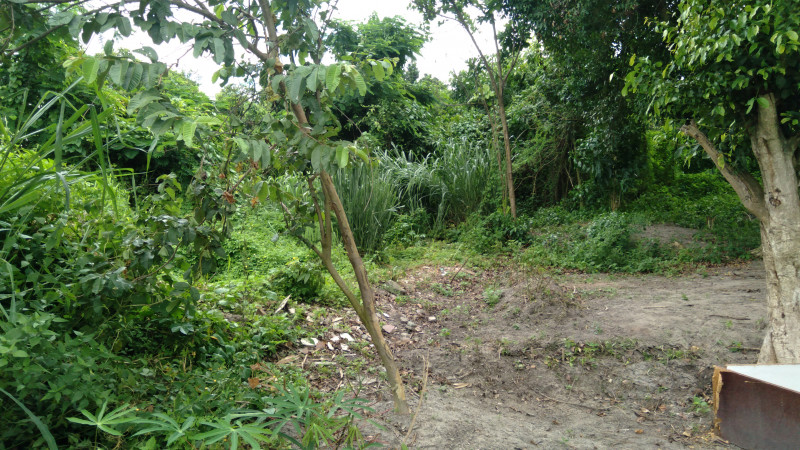 Terreno à venda Éden com 10m² e 1 quarto por R$ 2.200.000 - 1484786860-20230104-112125.jpg