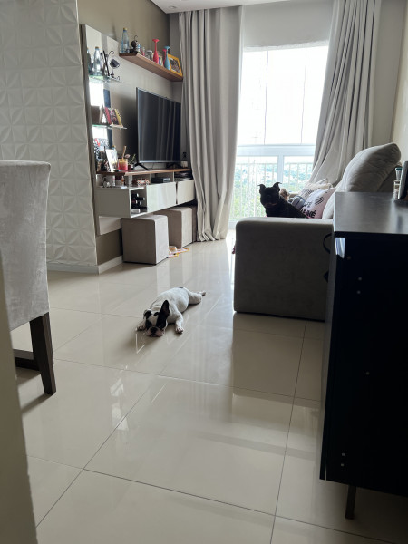 Apartamento à venda Parque das Iglesias com 51m² e 2 quartos por R$ 310.000 - 118048782-0fad7398-3ec8-43b6-9d77-744a681a66fa.jpeg