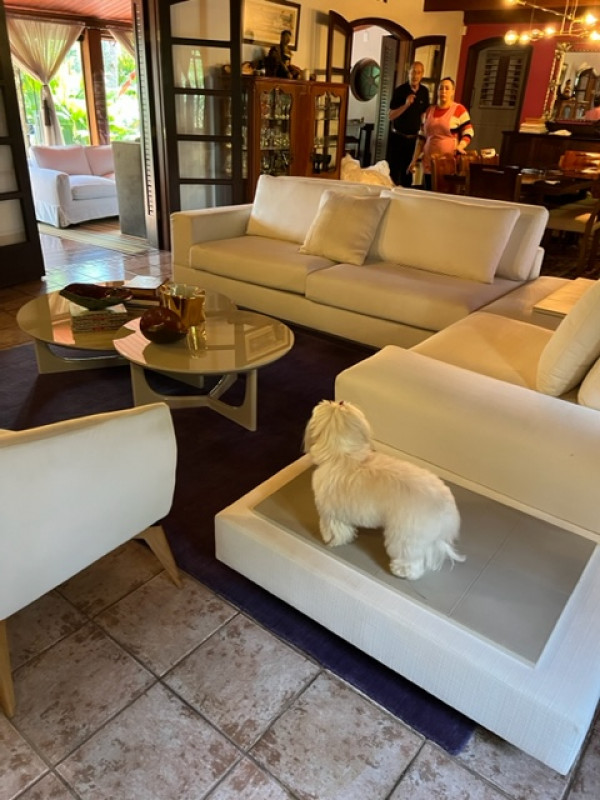 Casa à venda Peinha com 300m² e 5 quartos por R$ 2.800.000 - 319619035-img-2209.jpg