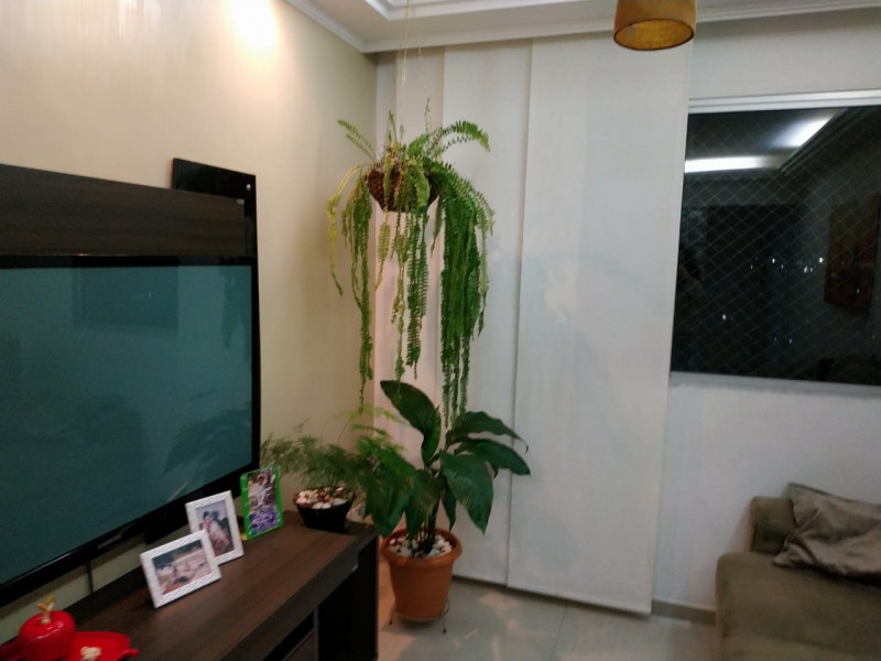 Apartamento à venda Parque Terra Nova com 67m² e 3 quartos por R$ 265.000 - 2076461379-apto-17.jpg