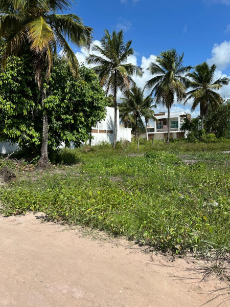 Terreno à venda Centro com 200m² e 1 quarto por R$ 160.000 - 1302887773-whatsapp-image-2022-12-19-at-13.jpeg