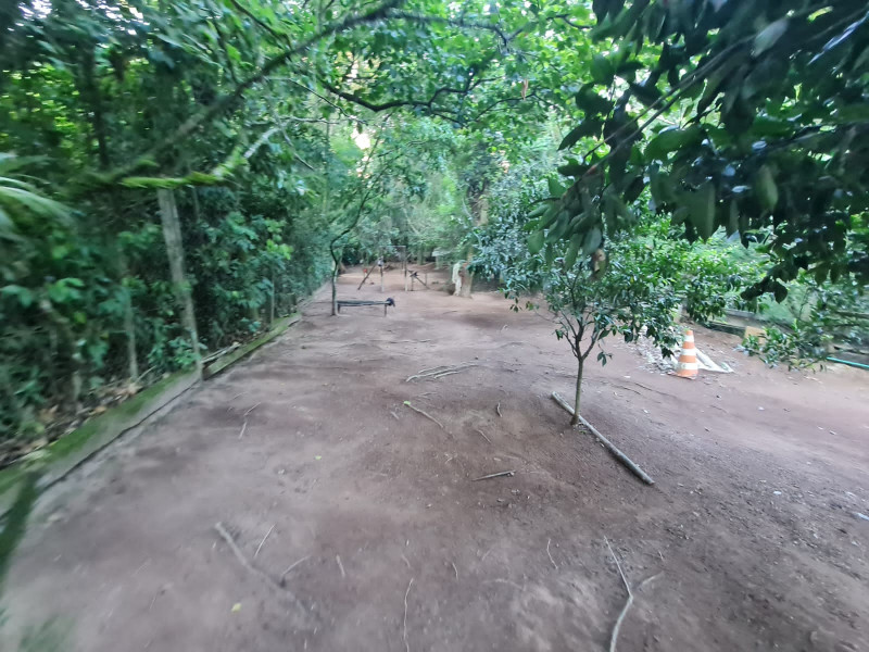 Casa à venda Jardim Krahe com 700m² e 4 quartos por R$ 150.000 - 1498699472-img-20230125-wa0008.jpg