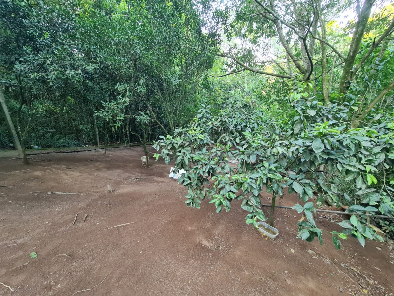 Casa à venda Jardim Krahe com 700m² e 4 quartos por R$ 150.000 - 2010232873-img-20230125-wa0009.jpg