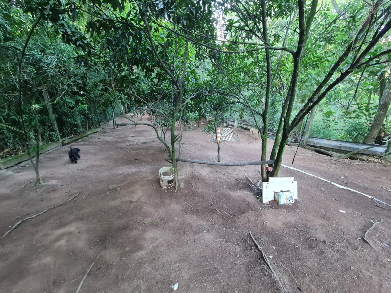 Casa à venda Jardim Krahe com 700m² e 4 quartos por R$ 150.000 - 784371991-img-20230125-wa0006.jpg