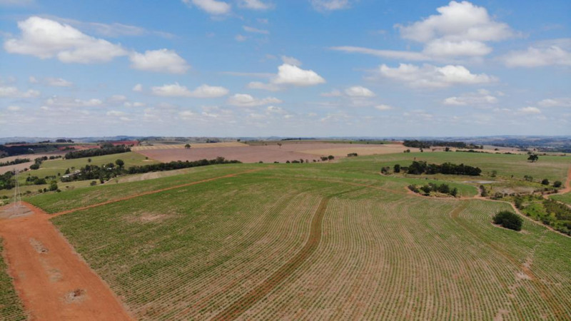 Fazenda à venda Jardim Santa Rita de Cassia com 3146000m² e 5 quartos por R$ 38.500.000 - 1047853657-8ba4c187-9c7c-49c7-a812-7912abc59b35.jpeg