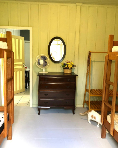 Chácara à venda Centro com 12000m² e 3 quartos por R$ 350.000 - 2115851239-81b206fd-2c8b-43c9-98f8-75ea99e89a3e.jpeg