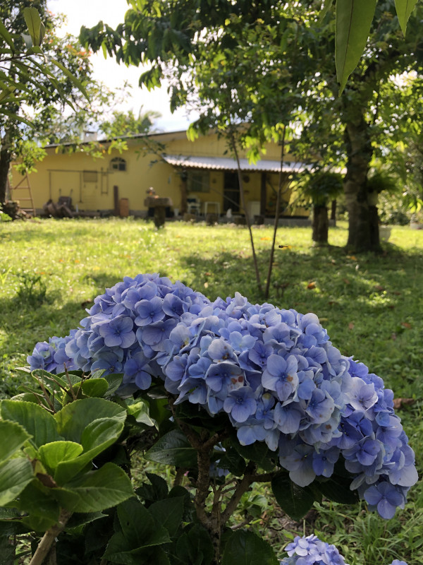 Chácara à venda Centro com 12000m² e 3 quartos por R$ 350.000 - 590562349-96fd5116-602d-4419-9c2f-2d43febcfd04.jpeg