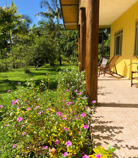 Chácara à venda Centro com 12000m² e 3 quartos por R$ 350.000 - 684557651-63f163e8-9033-4866-8902-b0c475049191.jpeg