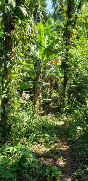 Chácara à venda Centro com 12000m² e 3 quartos por R$ 350.000 - 874850696-8bda4f67-9d80-402e-9b37-9ea326dfa171.jpeg