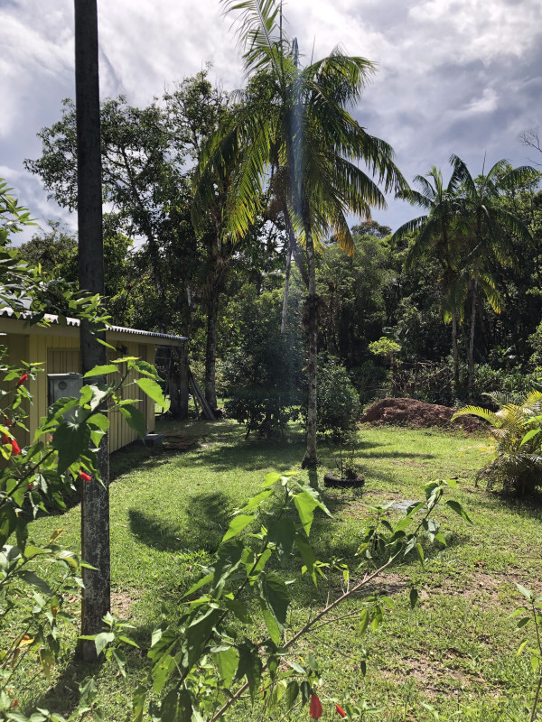 Chácara à venda Centro com 12000m² e 3 quartos por R$ 350.000 - 930657814-1ed2888e-e704-471c-9b10-2811e6f46afd.jpeg