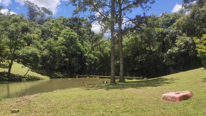 Chácara à venda Potuvera com 13000m² e 8 quartos por R$ 969.000 - 1417005331-2119548051.jpg