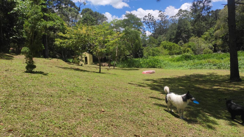 Chácara à venda Potuvera com 13000m² e 8 quartos por R$ 969.000 - 575339204-2119548052.jpg