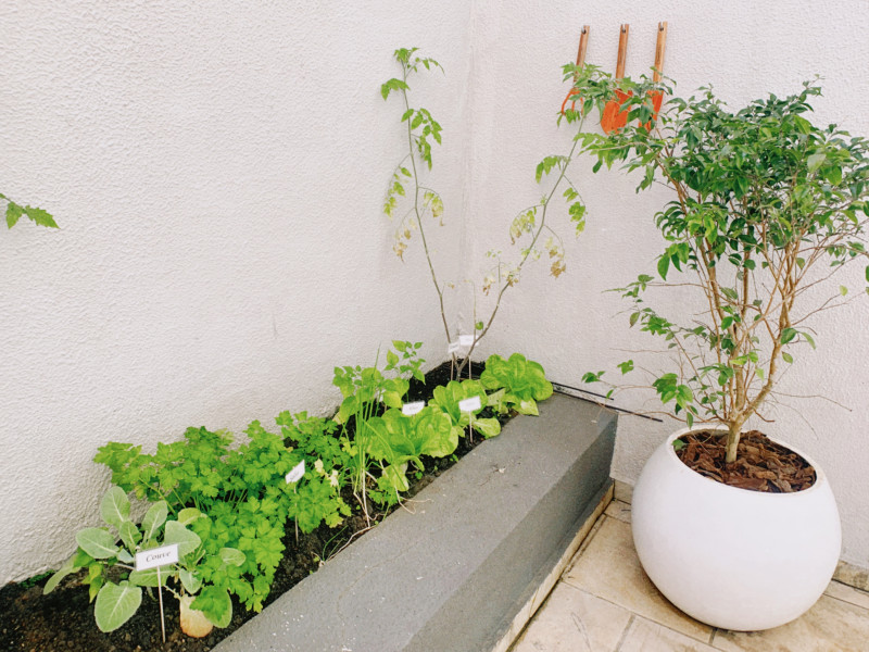 Apartamento à venda Alto da Mooca com 70m² e 2 quartos por R$ 499.000 - 1692737456-1d6a3a25-c84b-419d-b0b3-b02eafe11f35.jpeg