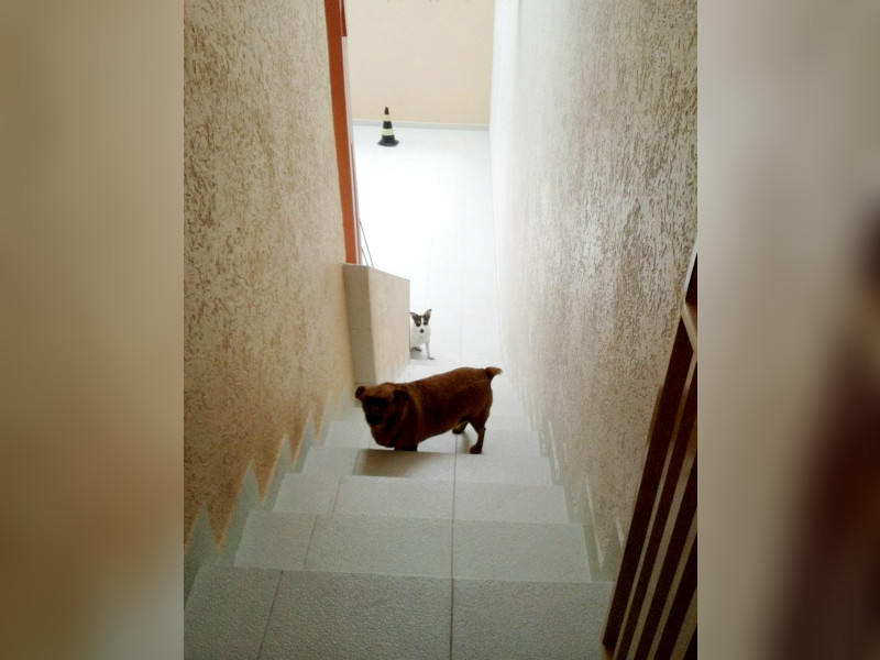 Casa à venda Vila Bela Vista com 193m² e 3 quartos por R$ 450.000 - screenshot-20230111-130459.jpg