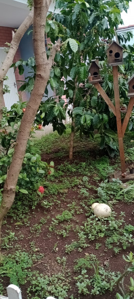 Casa à venda Jardim das Nações com 137m² e 2 quartos por R$ 370.000 - 1272148614-img-20230213-140413966-mfnr.jpg